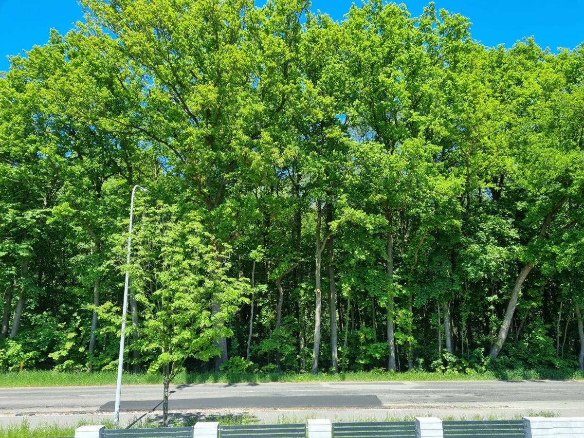 M&K Apartament Baltyk - Sobieszewo - Wyspa Sobieszewska Gdańsk Exteriör bild